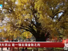 带上TA来随州大洪山赴一场金秋之约吧！