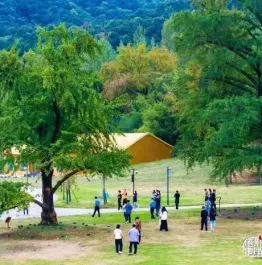 随州千年银杏谷游人享秋日乐趣