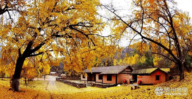 W020250522338181080376.png.webp W020250522338181080376.png.webp