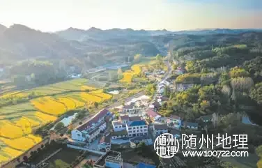 W020250522338181060182.png.webp W020250522338181060182.png.webp