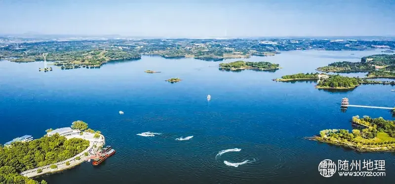 W020250522338181142946.png.webp W020250522338181142946.png.webp