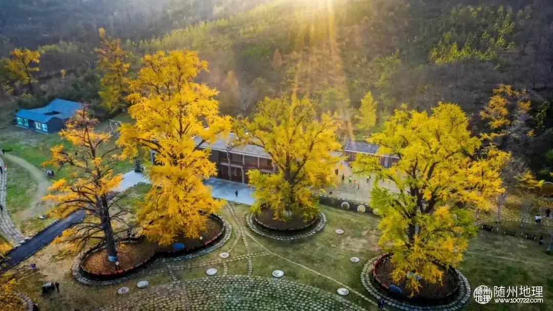 c169c308c5fc8192d27348459e0e08eb~tplv-tt-origin-web:gif.jpeg.webp c169c308c5fc8192d27348459e0e08eb~tplv-tt-origin-web:gif.jpeg.webp