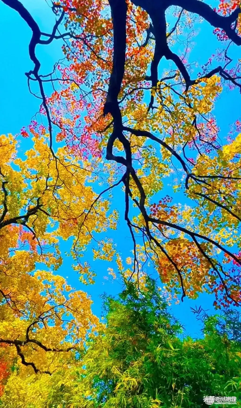 de7e1b210ff245b6b4ae41819c95a82e~tplv-tt-origin-web:gif.jpeg.webp