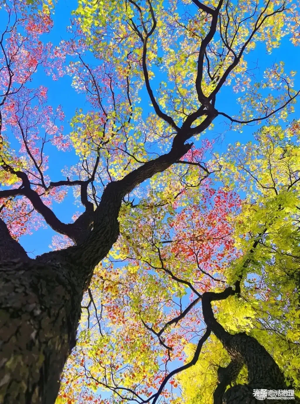 b6be362a3e3b4a29957db3a6904dd90e~tplv-tt-origin-web:gif.jpeg.webp