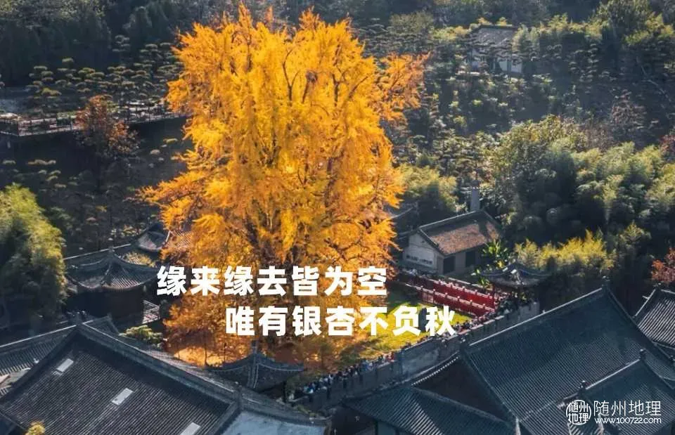 未命名 -1.webp
