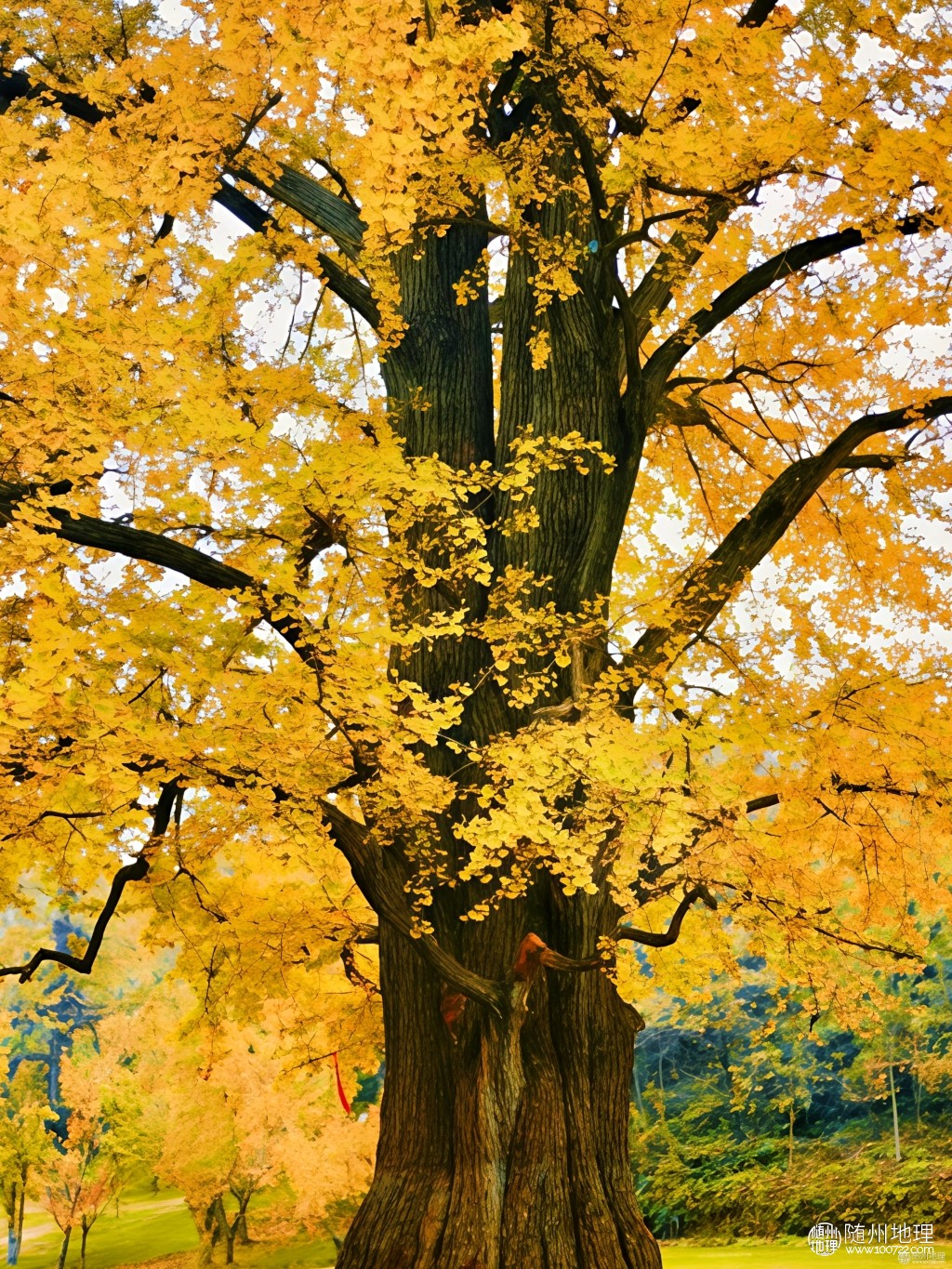 ca2a21578bad4fddb06a18edfa6125af~tplv-tt-origin-web:gif.jpeg.jpg