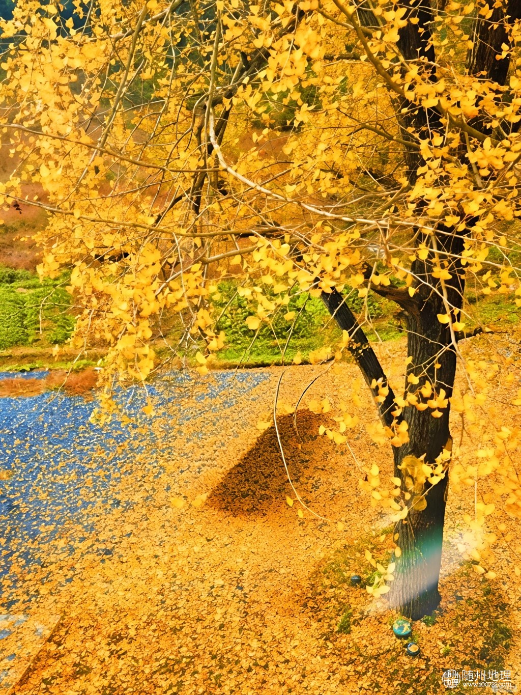 98d3d8bbb02d4e9293fe7a89da7c5148~tplv-tt-origin-web:gif.jpeg.jpg