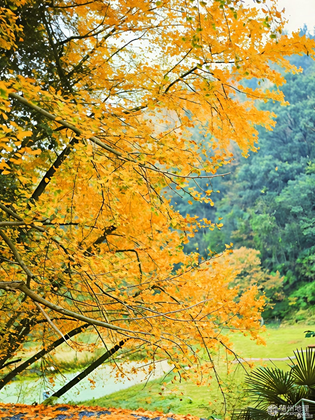 7e24dac11fef4700b623c9c7a3aeb370~tplv-tt-origin-web:gif.jpeg.jpg