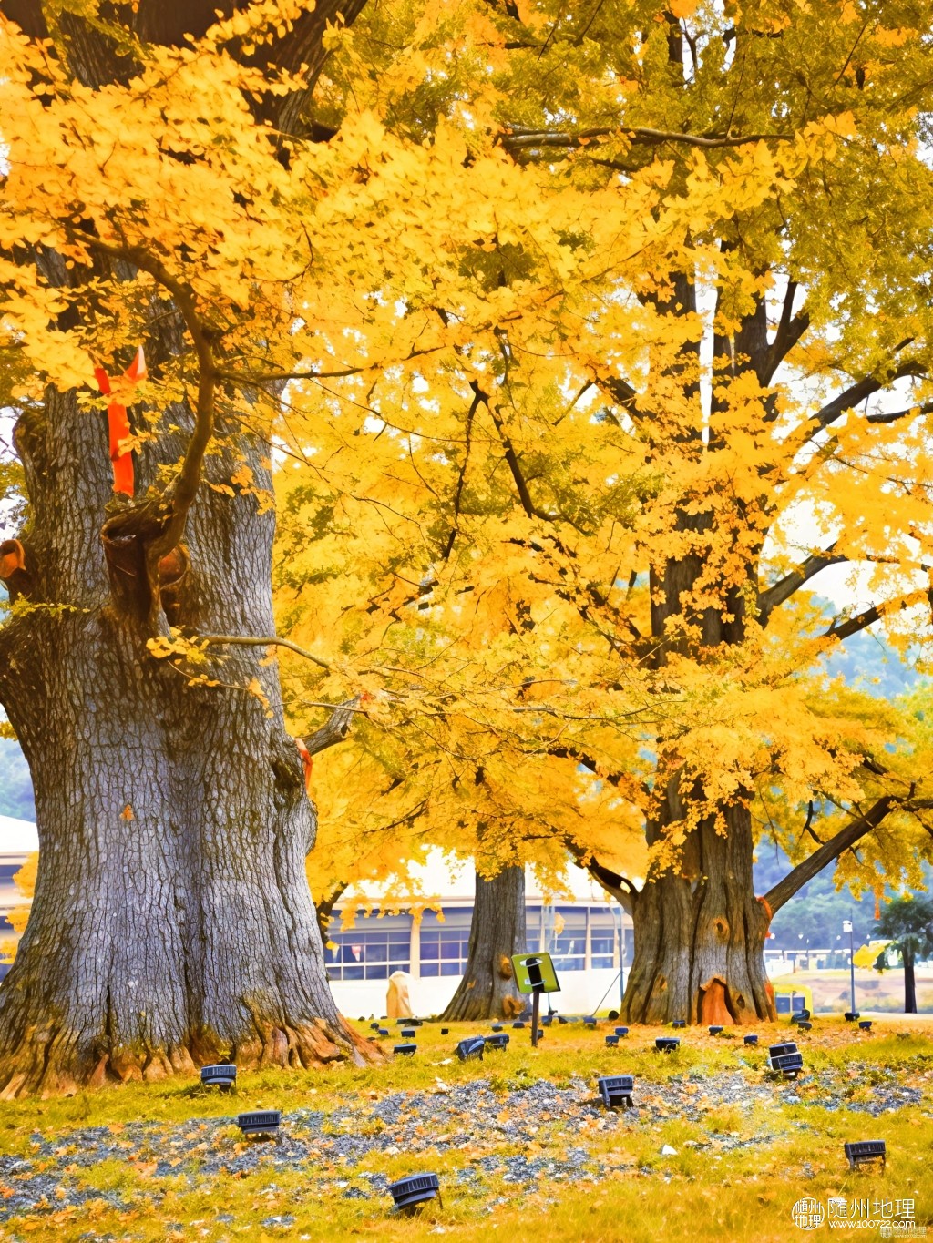 1f48e5d454234e9cb4abf7a9c6f0c174~tplv-tt-origin-web:gif.jpeg.jpg