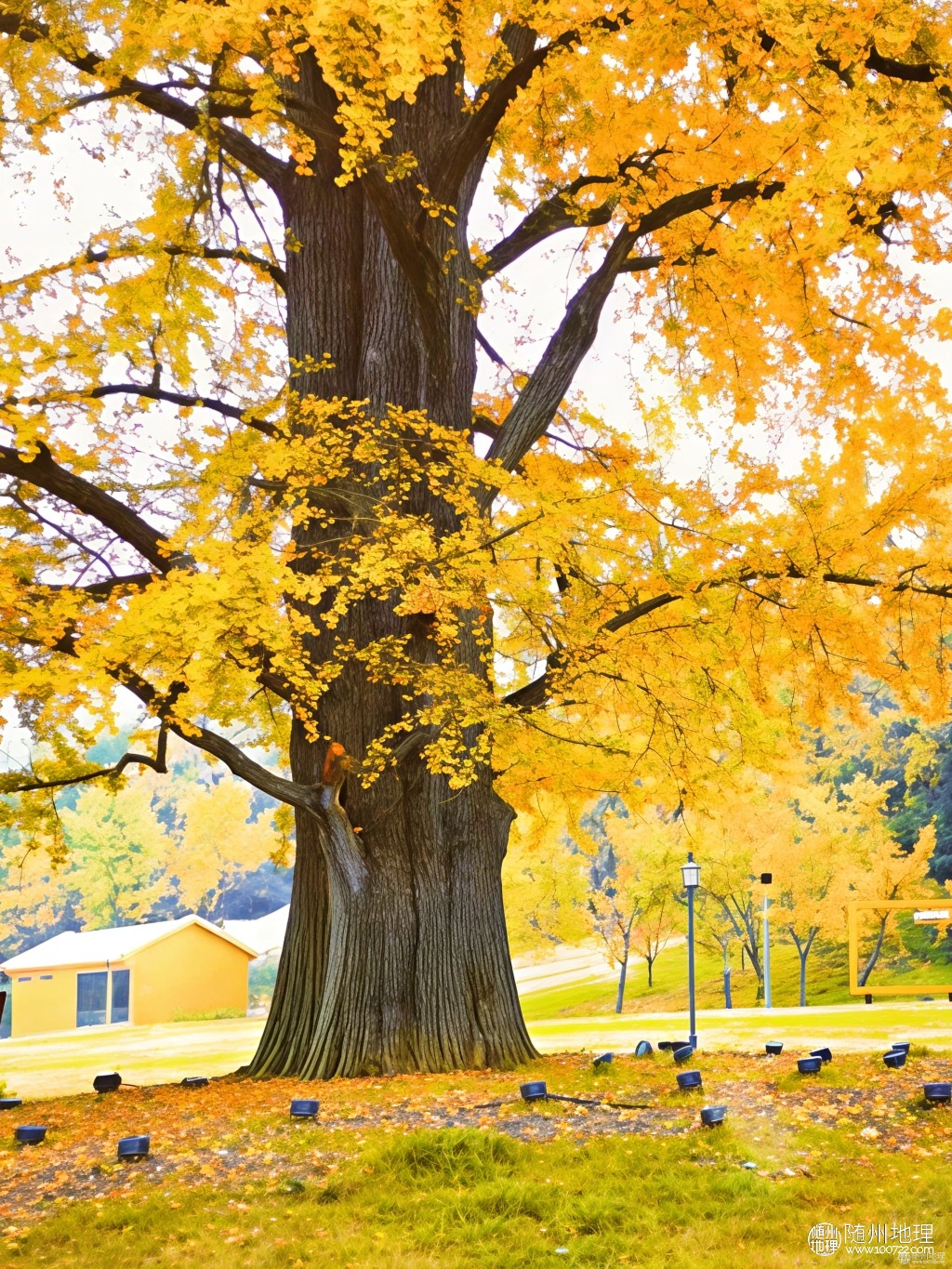 ce0691659f07474fbec47dc75f548d74~tplv-tt-origin-web:gif.jpeg.jpg