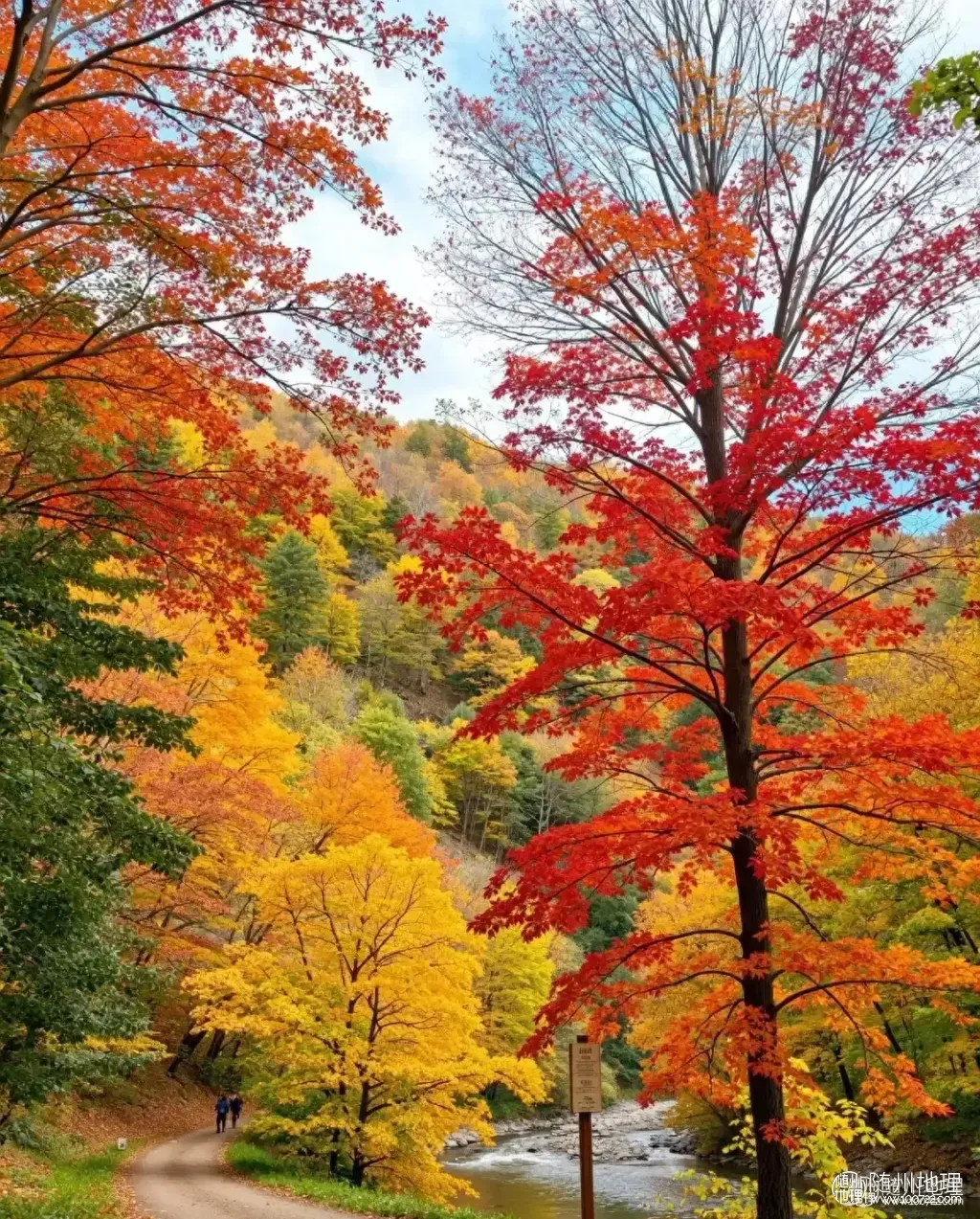 a1842e2b8d1843acb5141d6da88e41fa~tplv-tt-origin-web:gif.jpeg.webp
