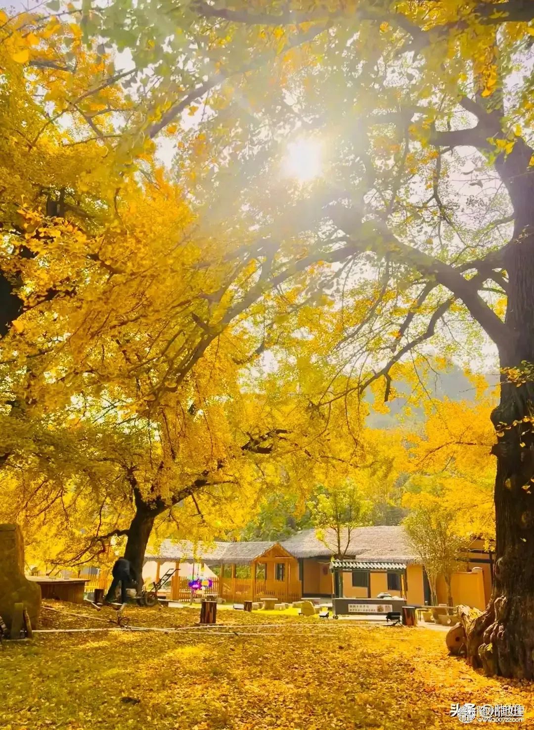 515938285d184cad84d10fb05f5a12d4~tplv-tt-origin-web:gif.jpeg.webp