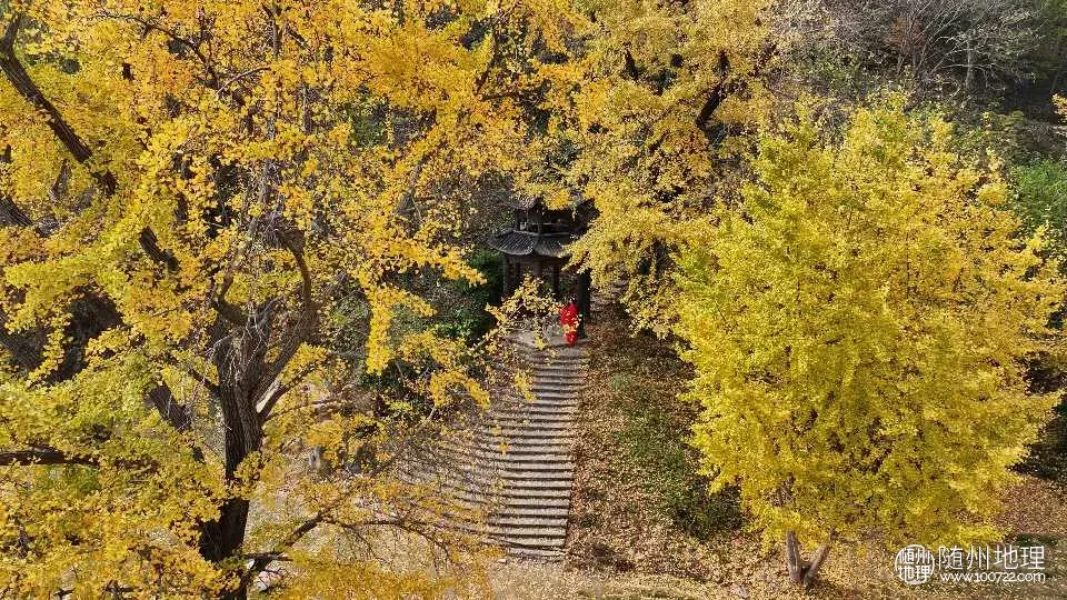 序列 01.00_02_06_20.Still003.webp