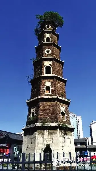 W020230612559682442577.webp.webp