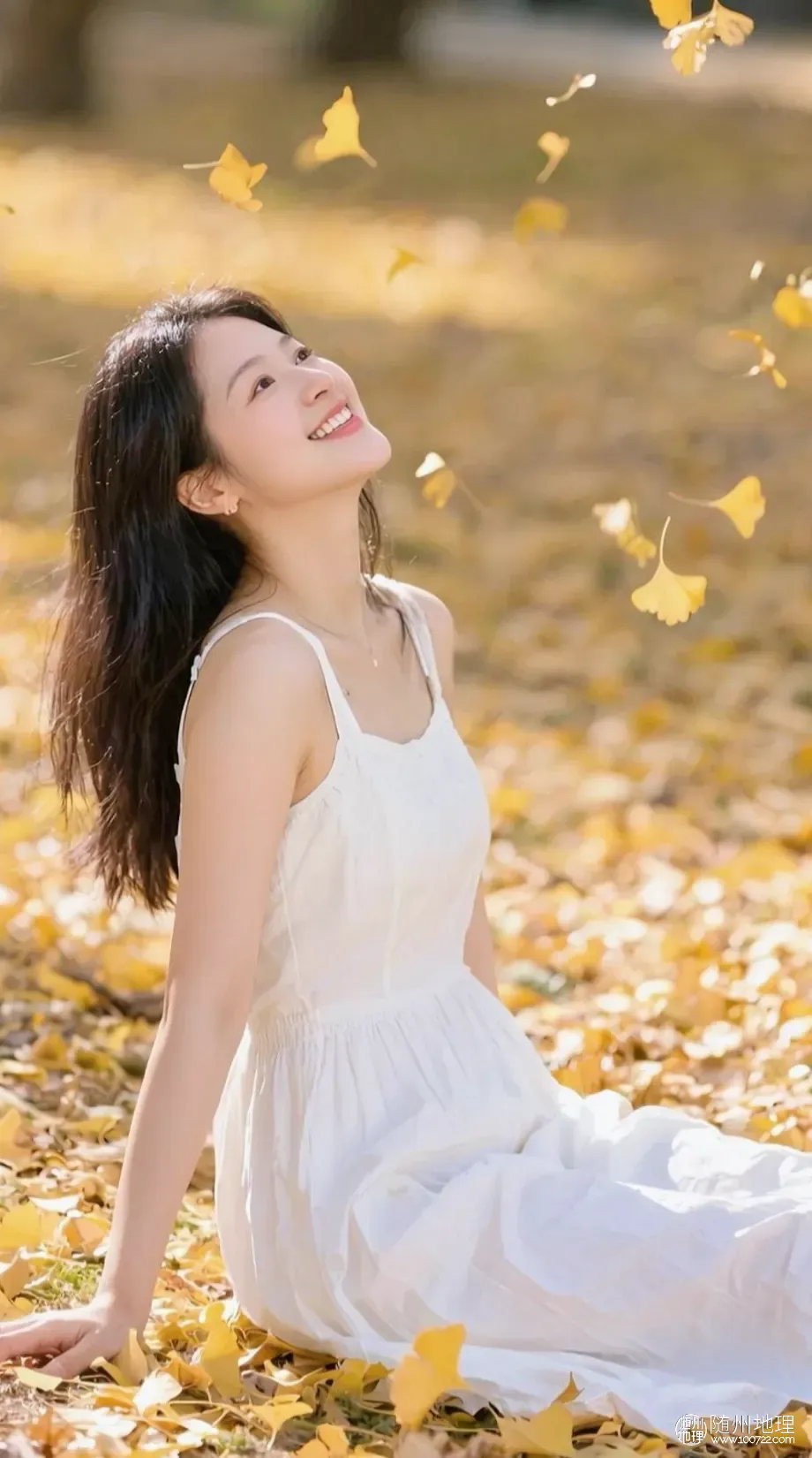 image.webp