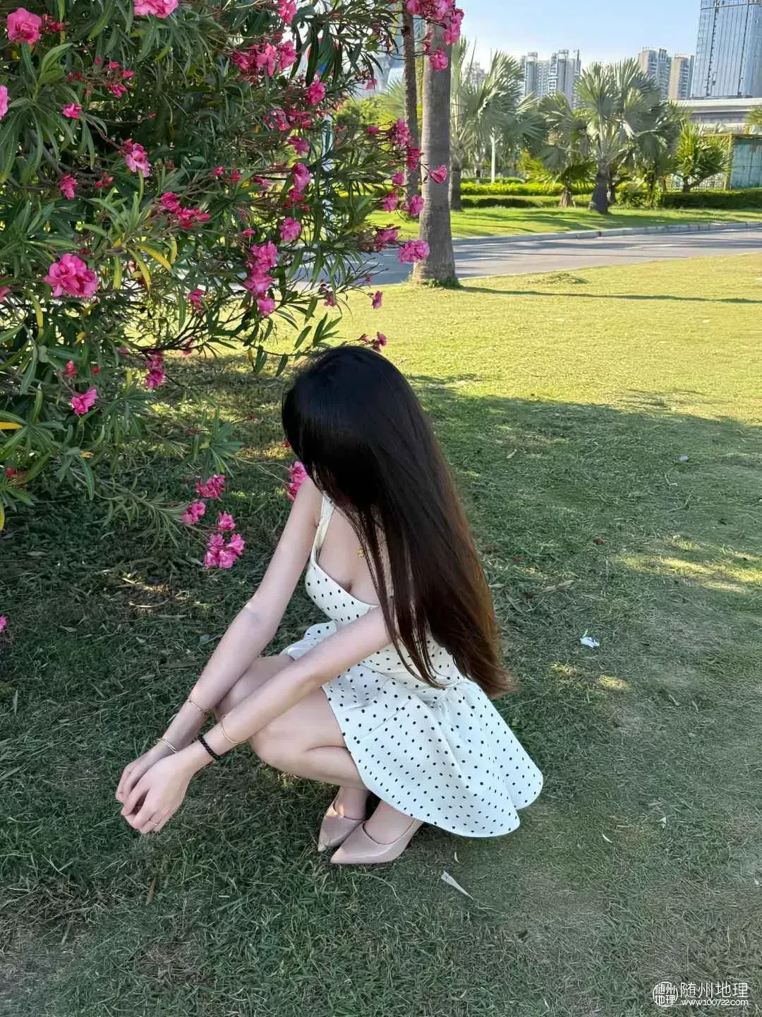 image.webp