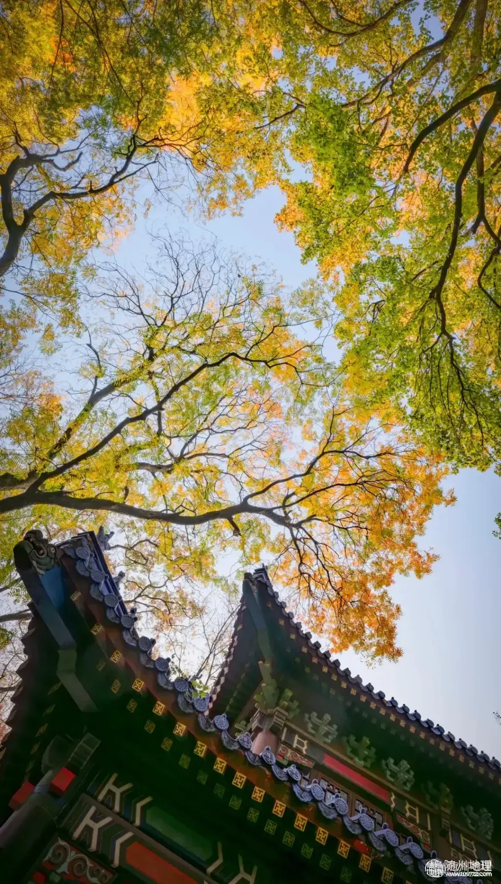a1f0427c6e8c4d0ba38692e4ca41ffe1~tplv-obj:1080:1904.image.webp
