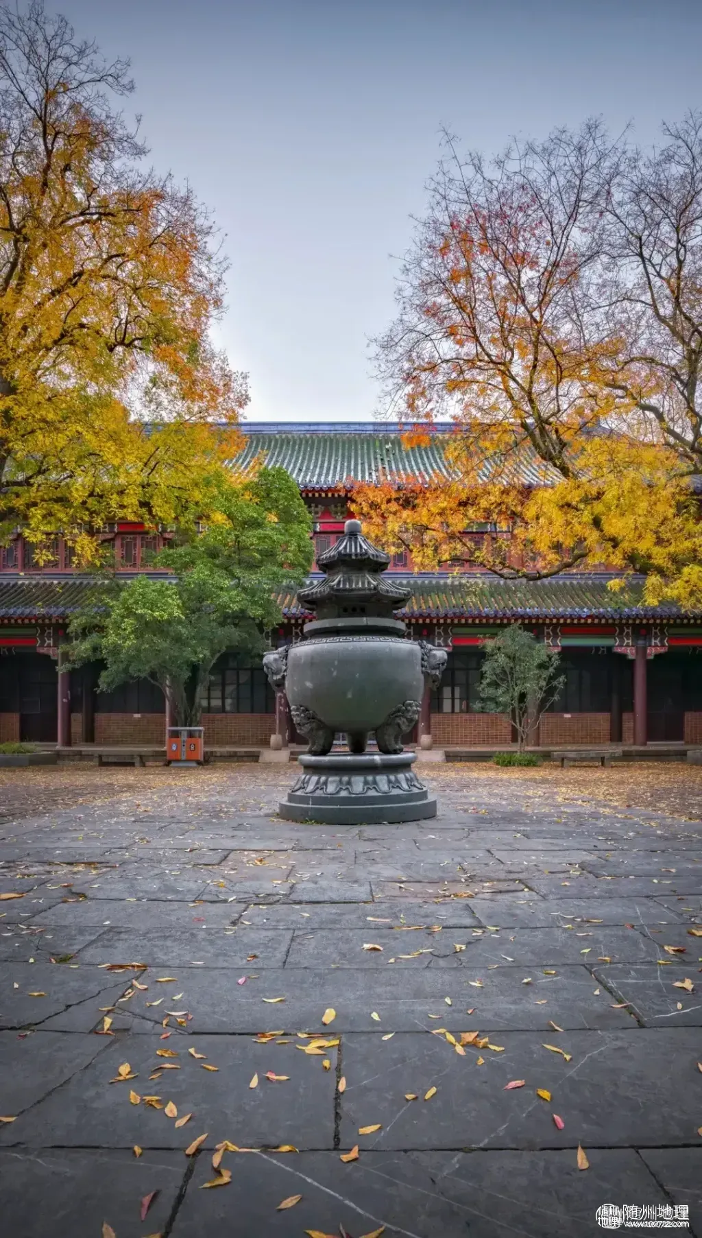 d79b837100fc40cabdf7ba770dac240b~tplv-obj:1080:1904.image.webp
