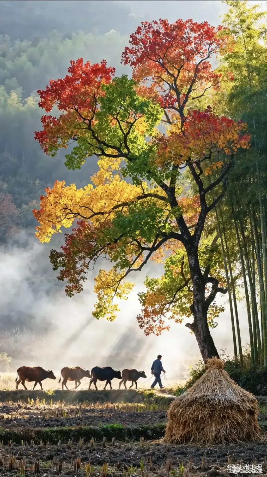 o4mjPNkIAv7IAQ4IdELSACBGA4EjABfQewYBeg~tplv-obj:1170:2088.image.webp