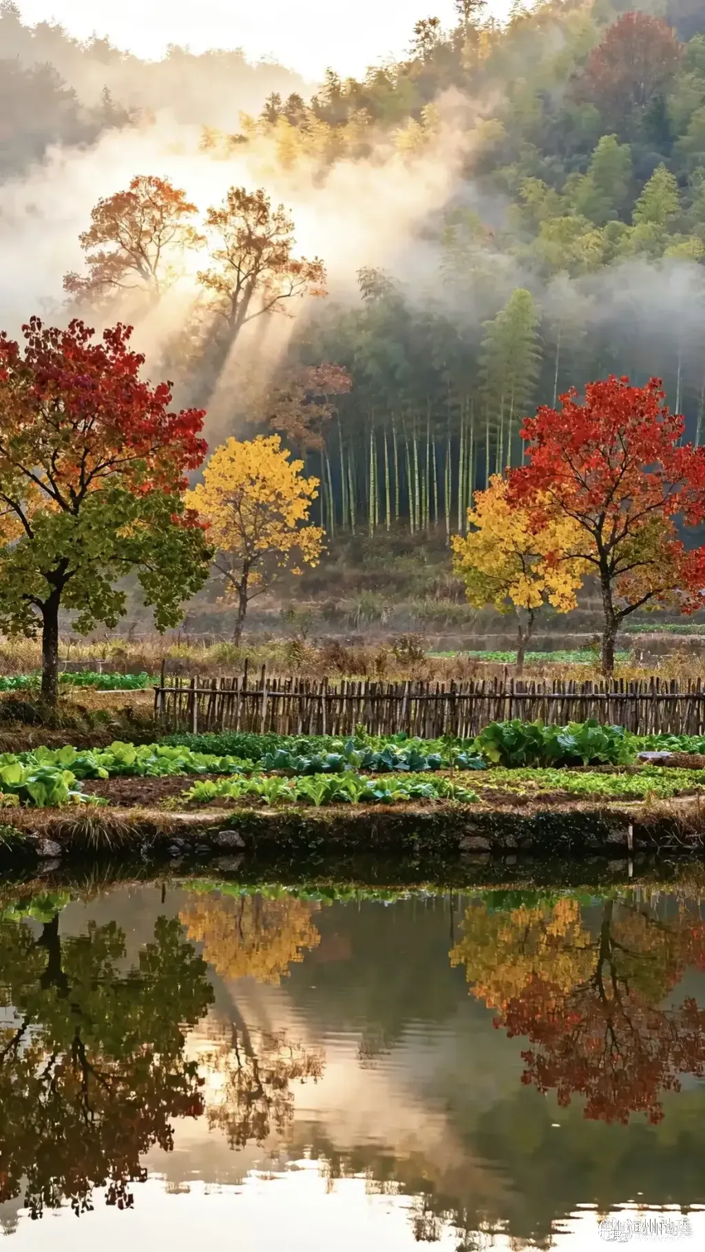 oUfAvnCPANkBwgES7yCEBeIhQIQhIALjABAYeG~tplv-obj:1170:2078.image.webp
