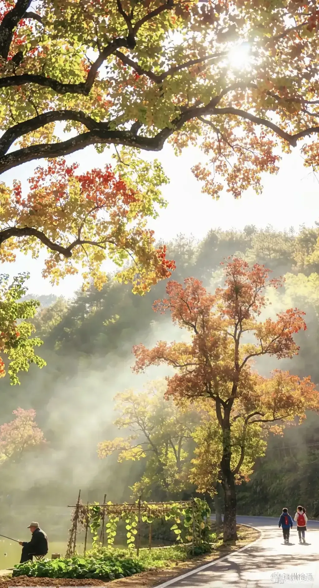 owQeIGLfAvEP2nXjBAGAQkYg7NSACEBBAwIIea~tplv-obj:1170:2158.image.webp
