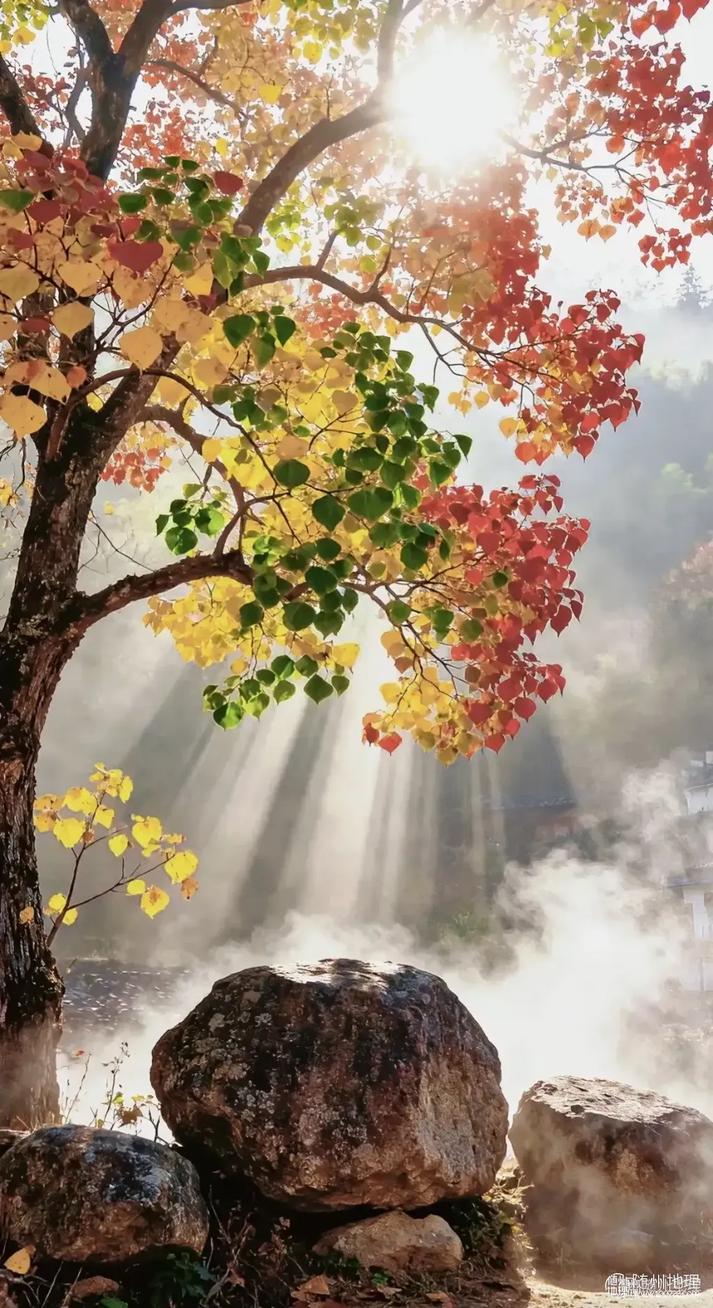 oApACPxJVCIEYAF9rAFIfJUAAMAngOfAwShDE5~tplv-obj:1170:2148.image.webp