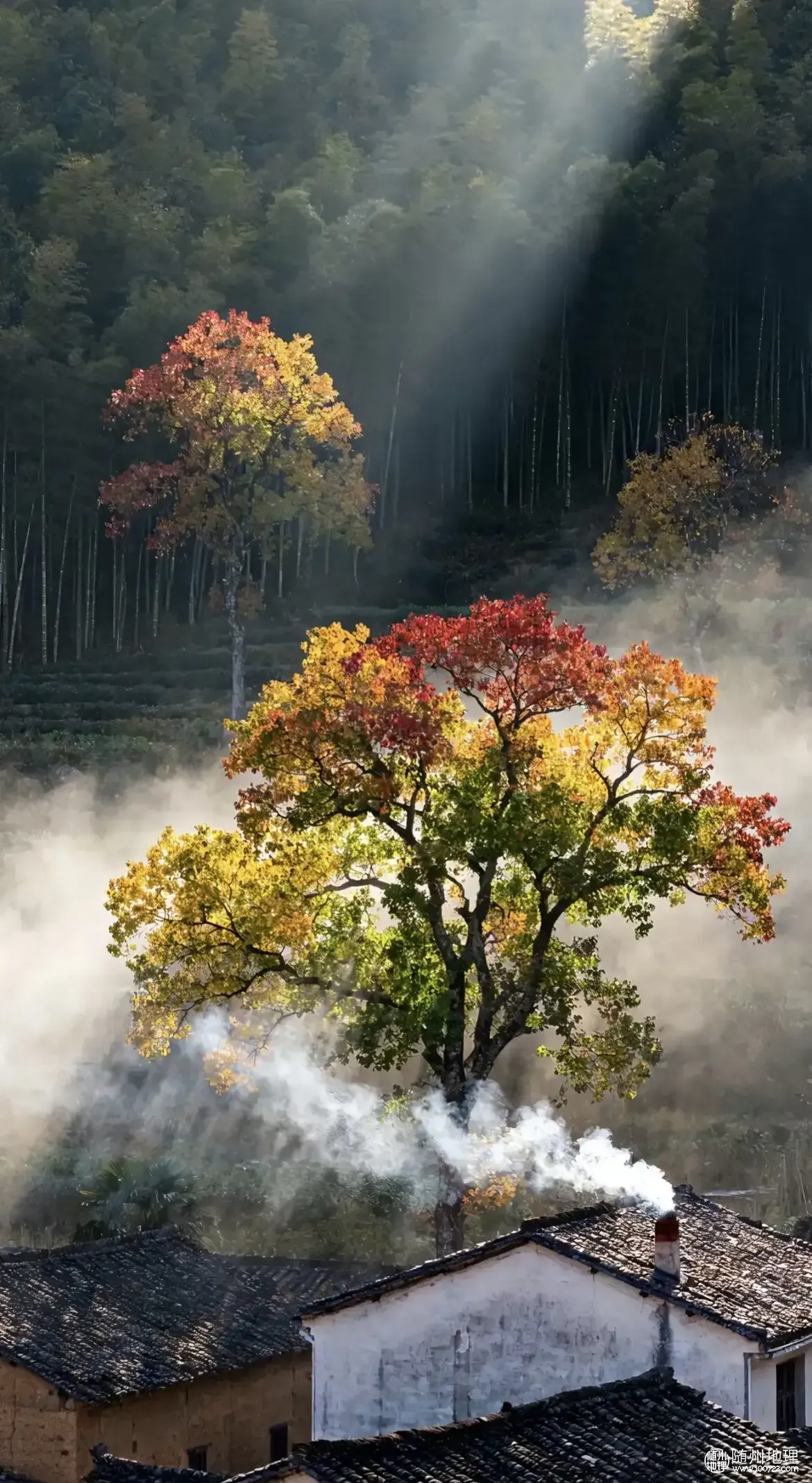 o87BAkSQjfRGXEOCArESweIeLBA7BAYWp6KTAI~tplv-obj:1170:2136.image.webp