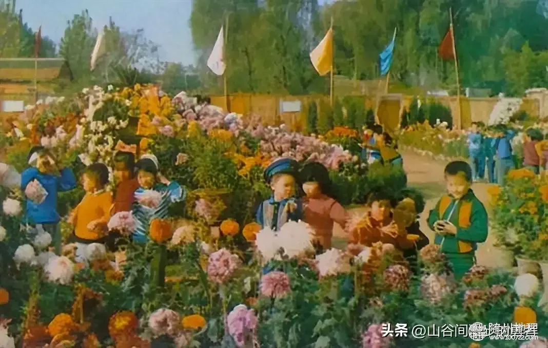66d50444c14f4d4083ca28196f848fb9~tplv-tt-origin-web:gif.jpeg.webp