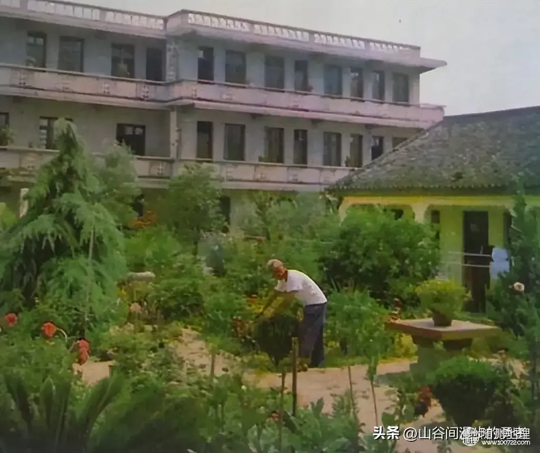 82ea84de30394878852833f4cd3d49c6~tplv-tt-origin-web:gif.jpeg.webp