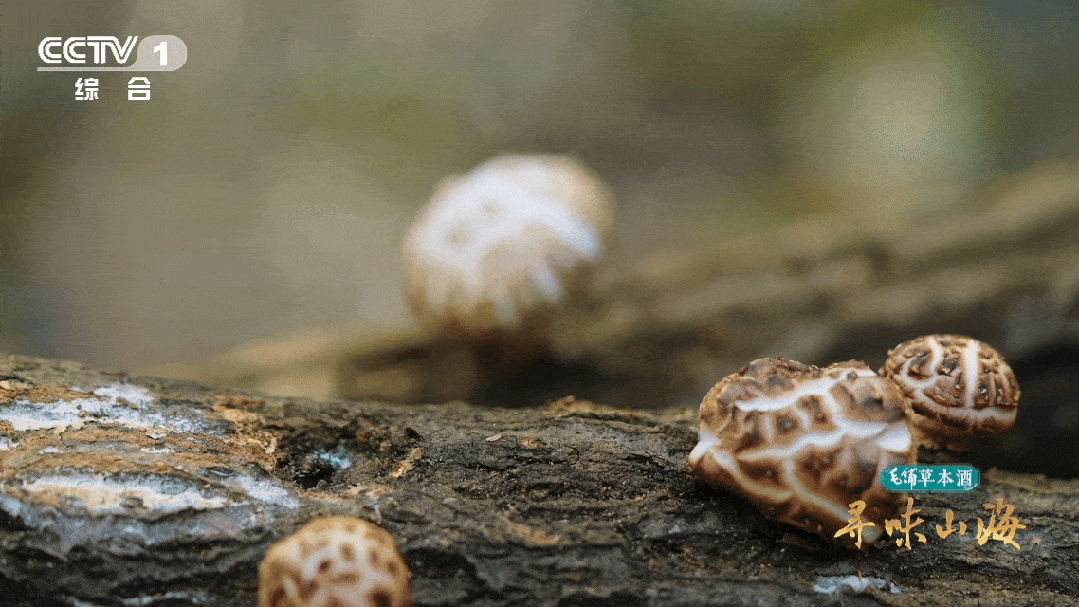 DM_20260124090847_002.gif