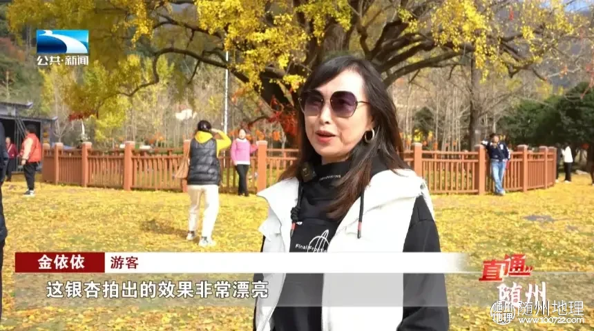 W020251125336036868352.png.webp