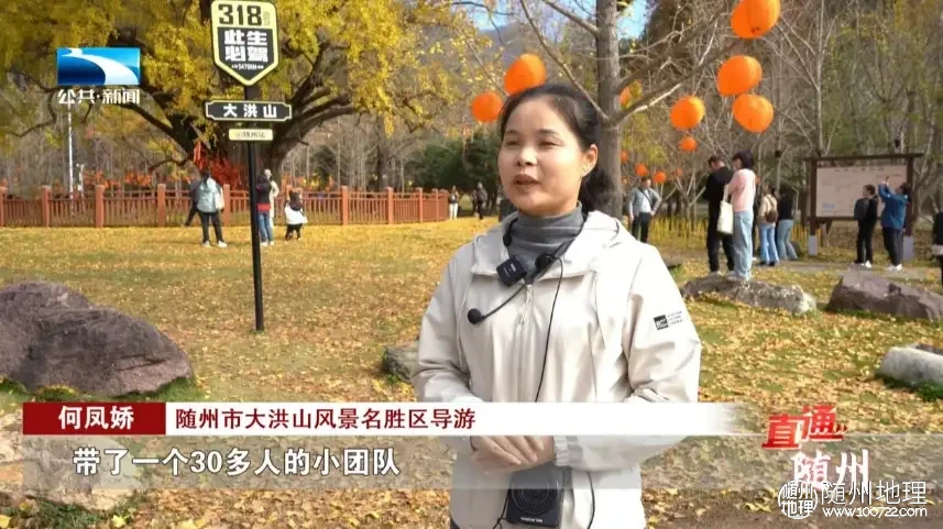 W020251125336036909721.png.webp