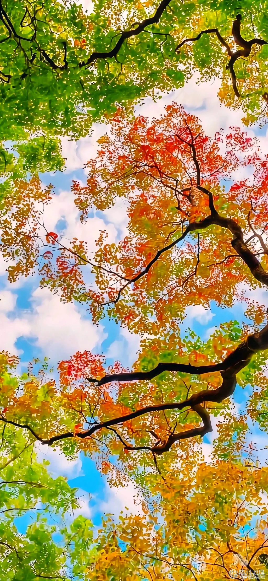 e7d51e4b762d4910a143bfeb0033e0de~tplv-obj:1486:3216.image.webp