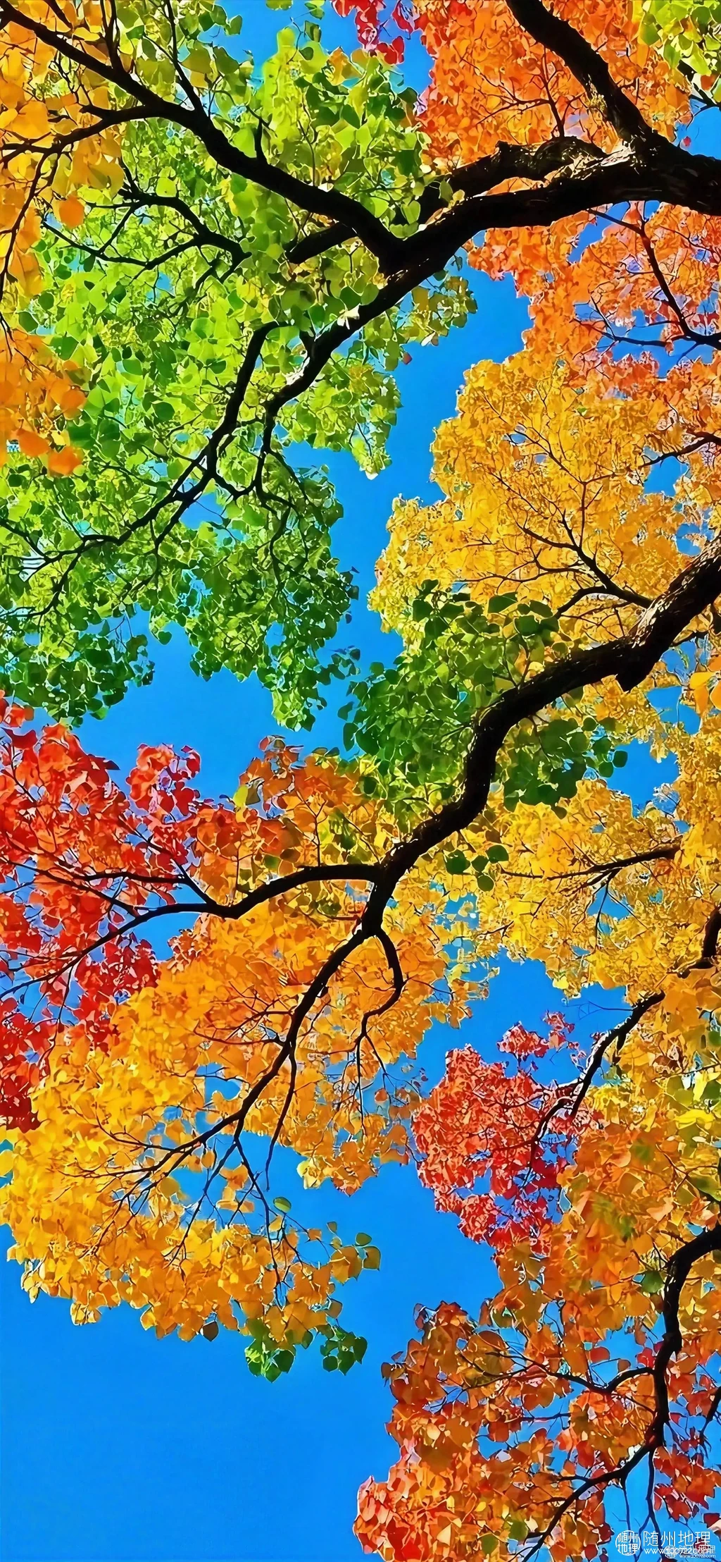 9eb7438f65164295811bcfb4be50ca19~tplv-obj:1892:4096.image.webp