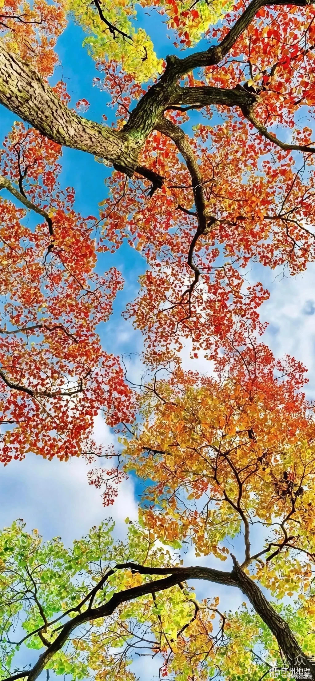 d3702a548e31432b90f91ddd476aff25~tplv-obj:1694:3664.image.webp