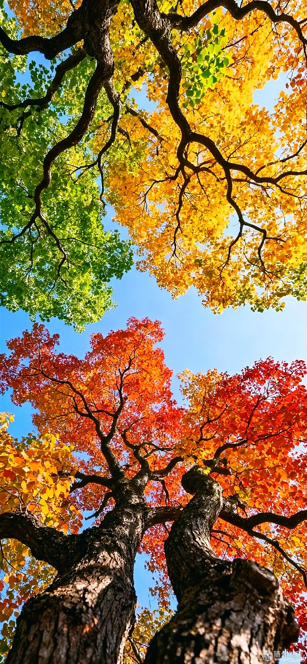 8b8bf5ee077a4fdd8d246977a2d240c8~tplv-obj:1893:4096.image.webp