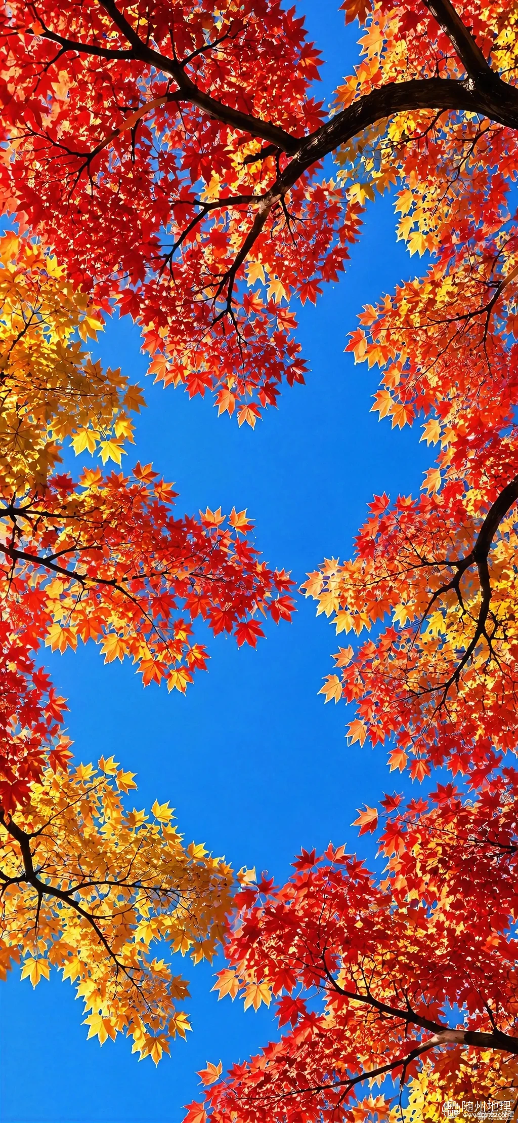 f3be6696e85b47d89e85db084ab7a6f3~tplv-obj:1891:4096.image.webp