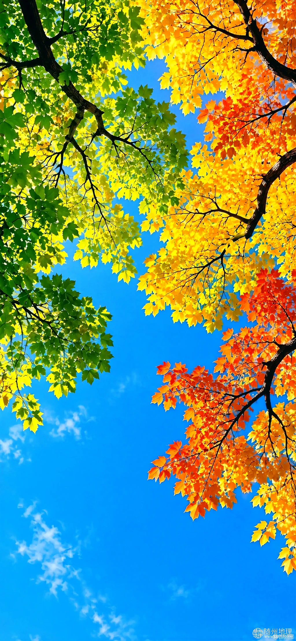 ce1c0ae5b6ae4fb896e8b20b7a8f2116~tplv-obj:1892:4096.image.webp