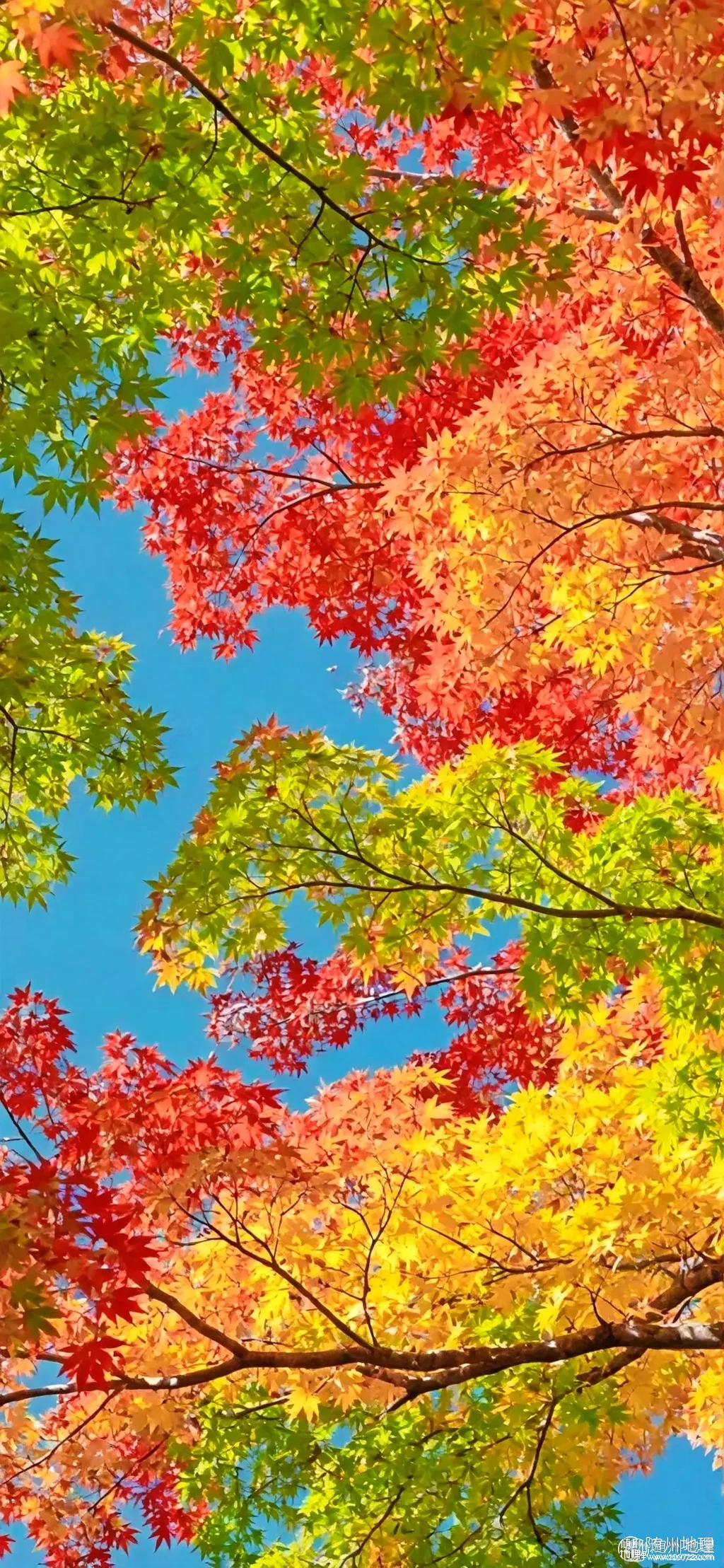 fef6f1ef1d1d4db2a012542fc6ef493a~tplv-obj:1102:2386.image.webp