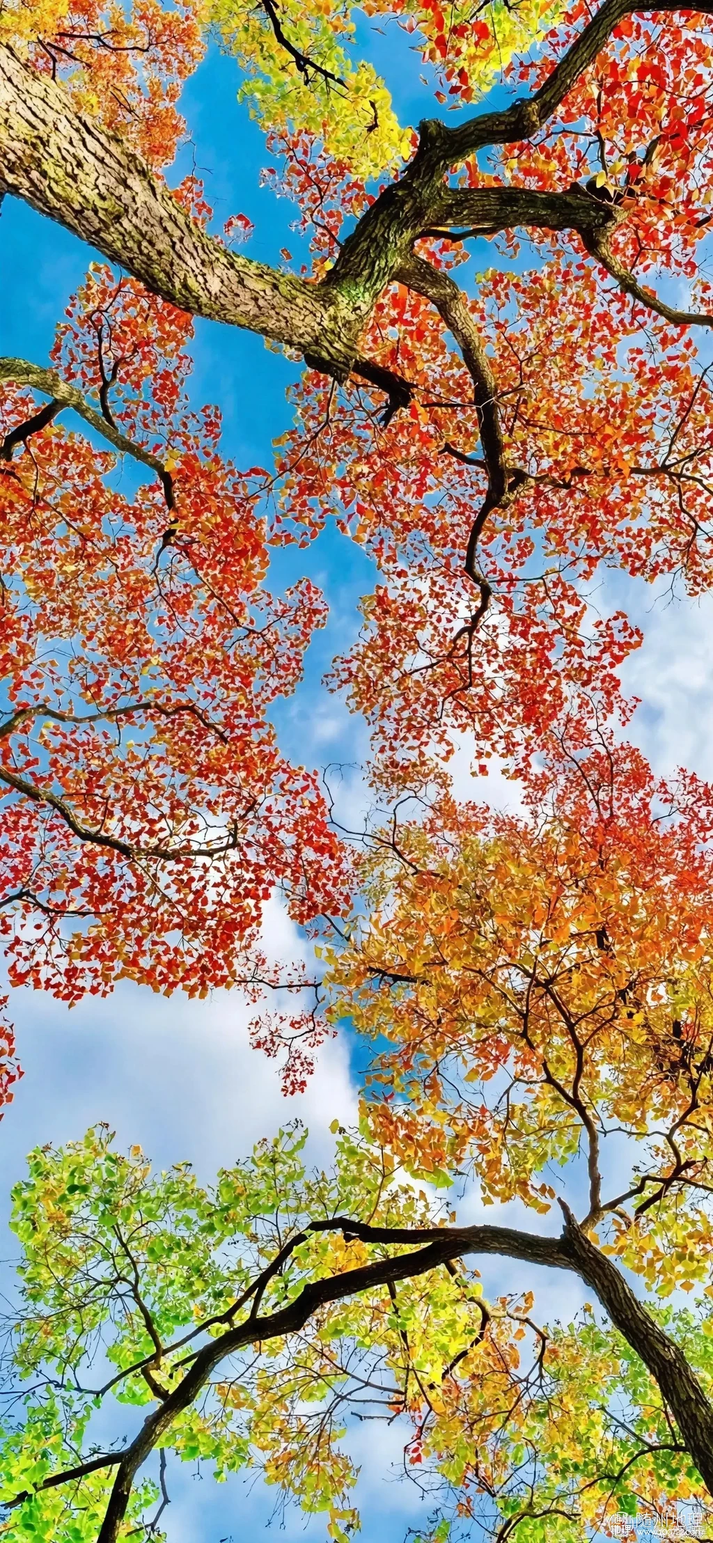 f18d980daffd440dba243eb9b0e4f056~tplv-obj:1772:3836.image.webp