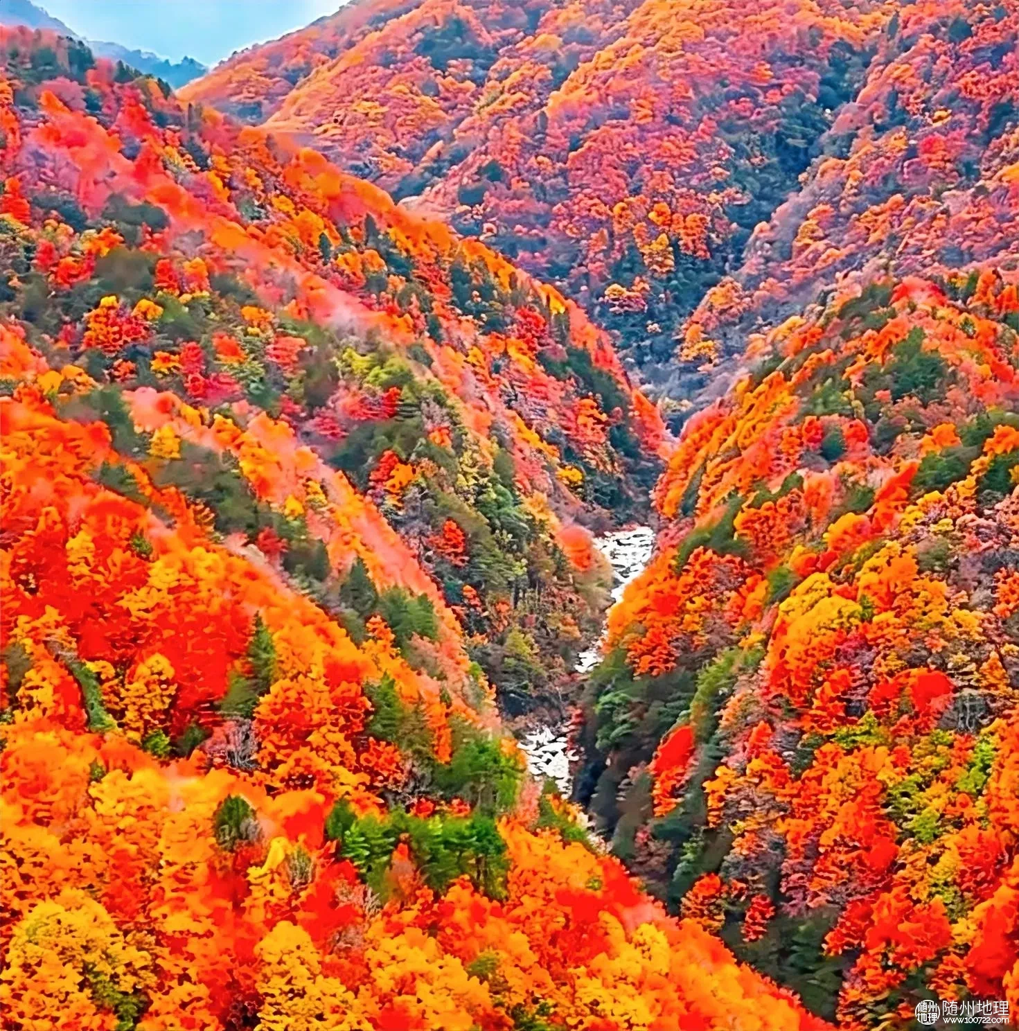 image.webp