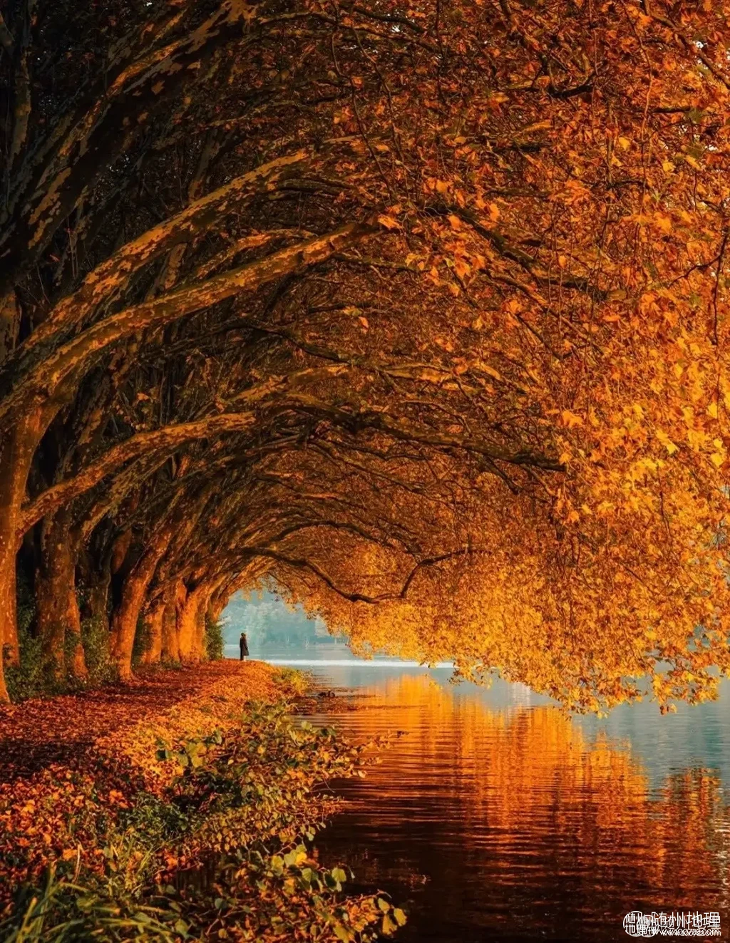 37902fa523cb488cb2745645a74d4b0e~tplv-obj:1170:1512.image.webp