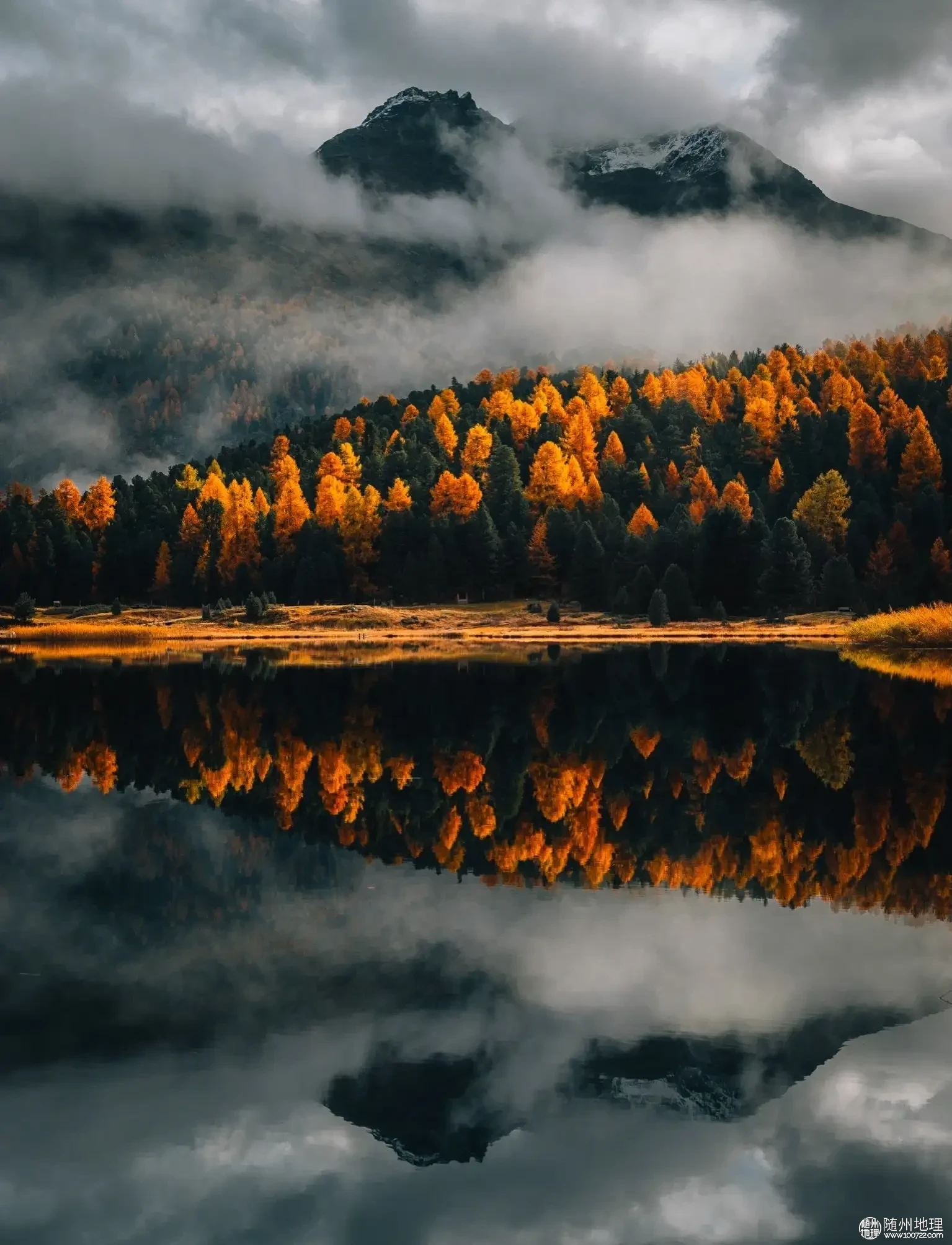 b38399802d1842359007343370e6f812~tplv-obj:1535:2007.image.webp