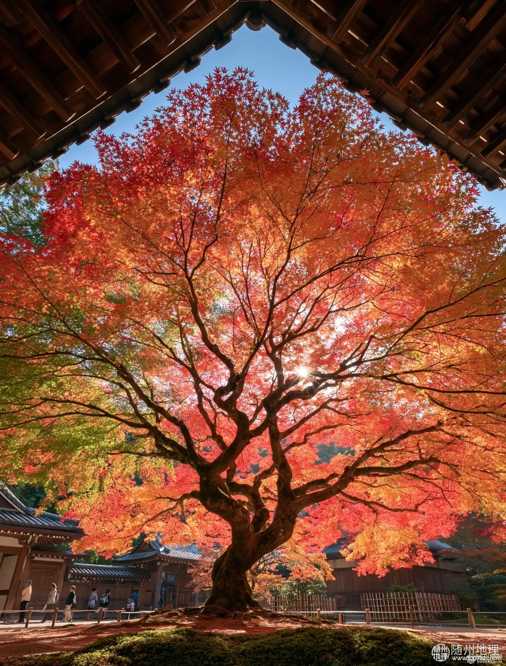 2e1c00a470b8421c986d58805bab784a~tplv-obj:1904:2504.image.webp