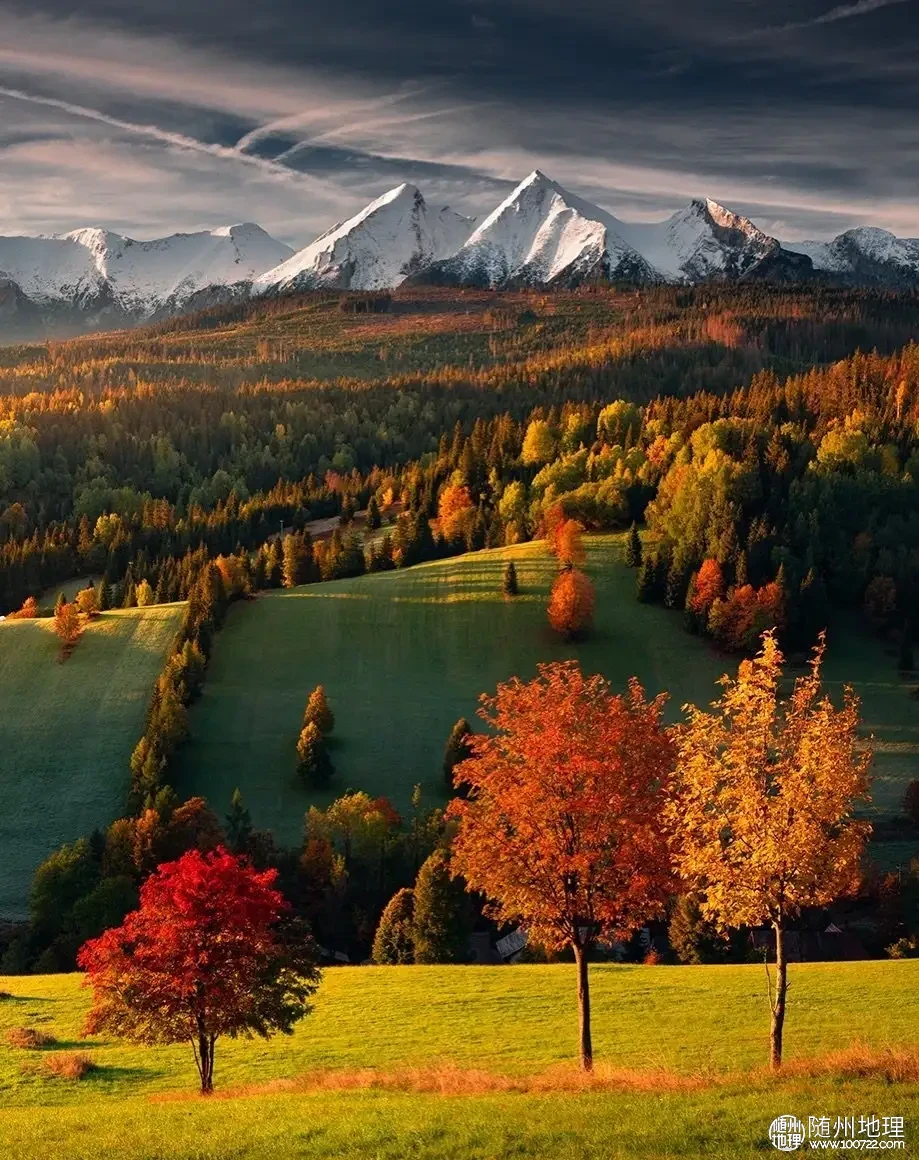 253867beb94349f09f282278d63819c7~tplv-obj:919:1160.image.webp